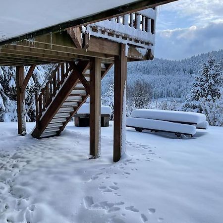 Chalet Situe Au Grand Valtin Villa Ban-sur-Meurthe-Clefcy ภายนอก รูปภาพ