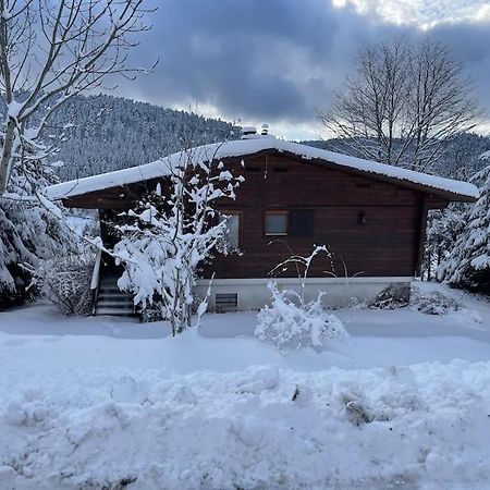 Chalet Situe Au Grand Valtin Villa Ban-sur-Meurthe-Clefcy ภายนอก รูปภาพ