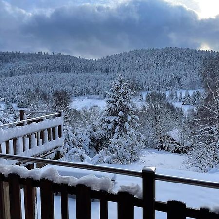 Chalet Situe Au Grand Valtin Villa Ban-sur-Meurthe-Clefcy ภายนอก รูปภาพ