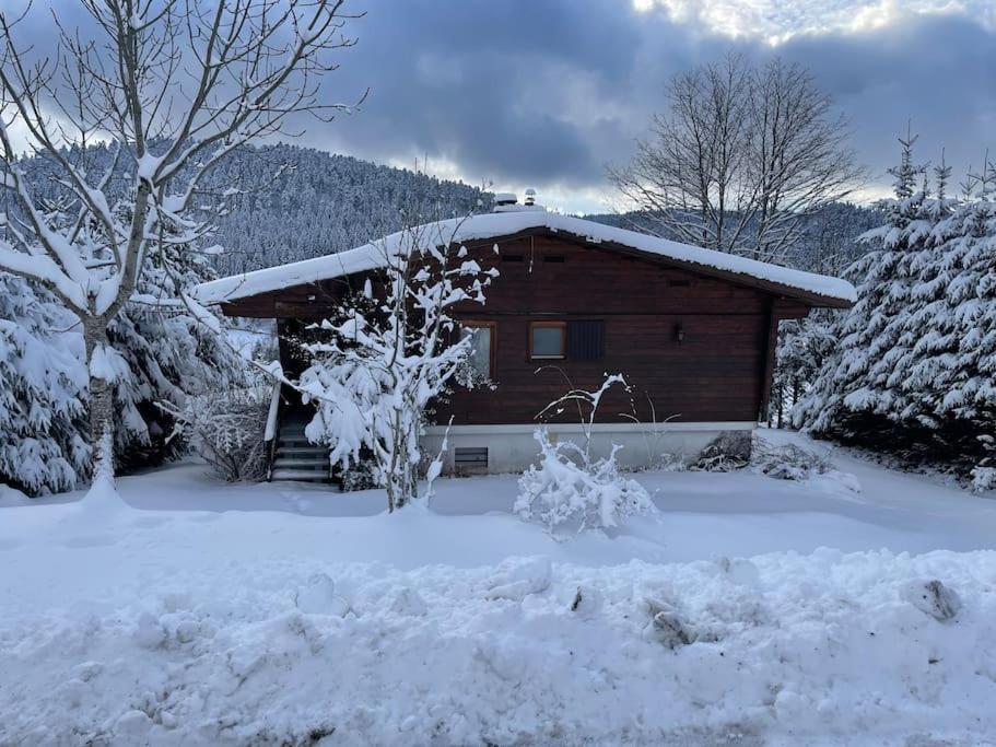 Chalet Situe Au Grand Valtin Villa Ban-sur-Meurthe-Clefcy ภายนอก รูปภาพ