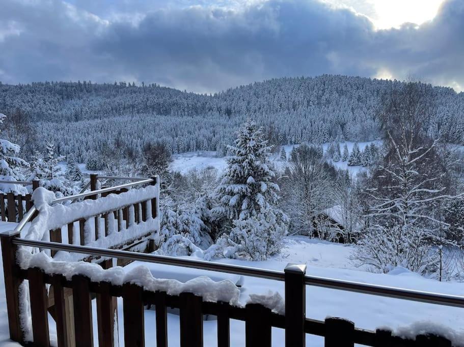 Chalet Situe Au Grand Valtin Villa Ban-sur-Meurthe-Clefcy ภายนอก รูปภาพ
