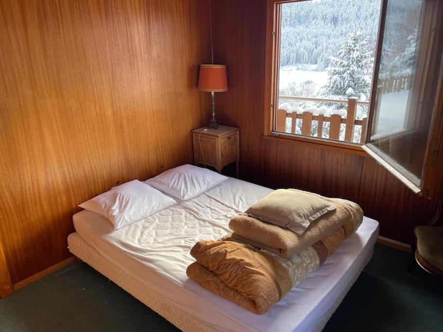 Chalet Situe Au Grand Valtin Villa Ban-sur-Meurthe-Clefcy ภายนอก รูปภาพ